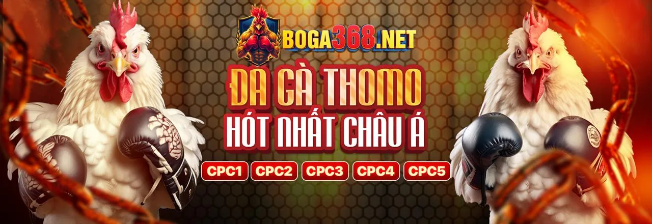 Đá Gà Trực Tuyến hm88 bet
