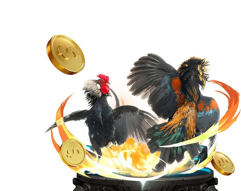 Chương Trình VIP & Khách Hàng Thân Thiết hm88 bet